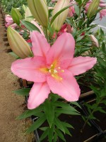 [4224 Vendome No202.JPG]